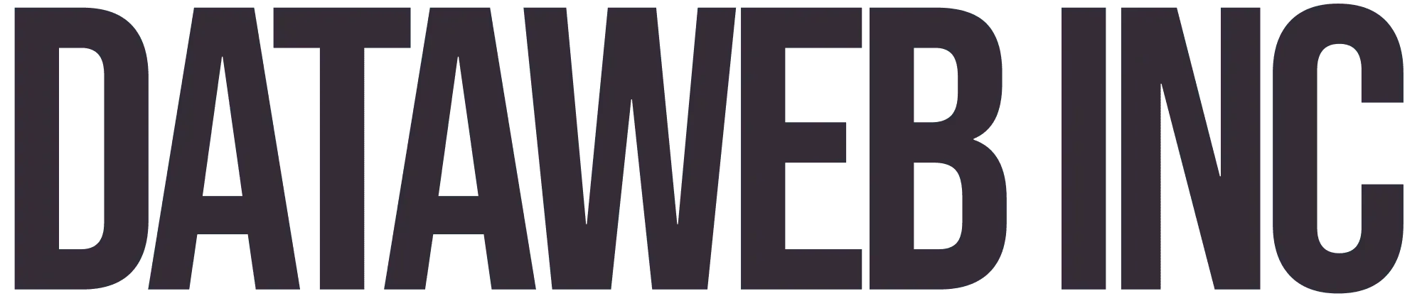 DataWeb Logo Footer